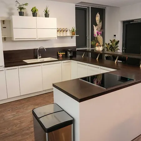 شقة Waldstrassenviertel Loft Terrasse, Redbull Arena *